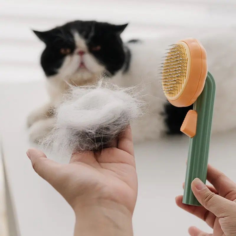 Cepillo para mascota Pumpkin