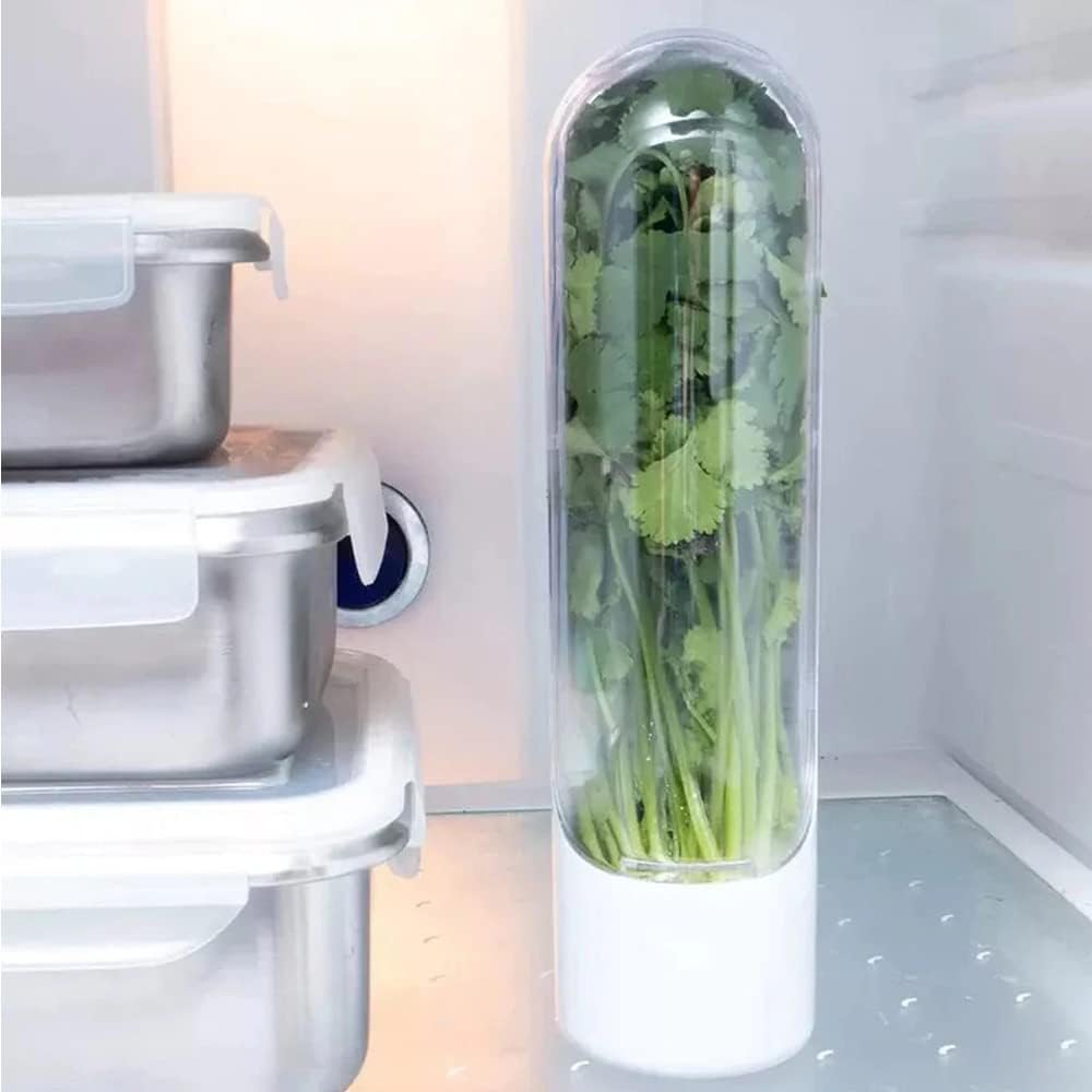 Recipiente conservador para vegetales