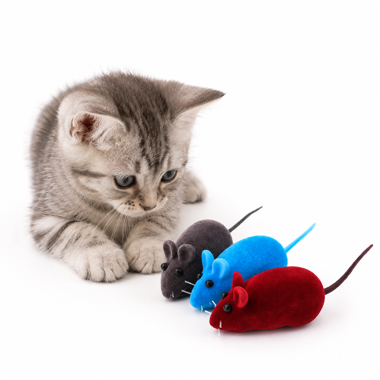 Set juguete ratoncito para gatos