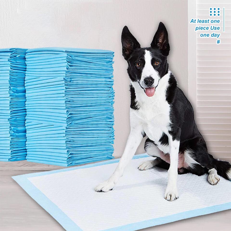 Pañal para perro 50pcs