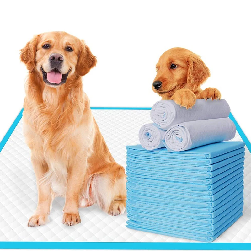 Pañal absorbente para perro