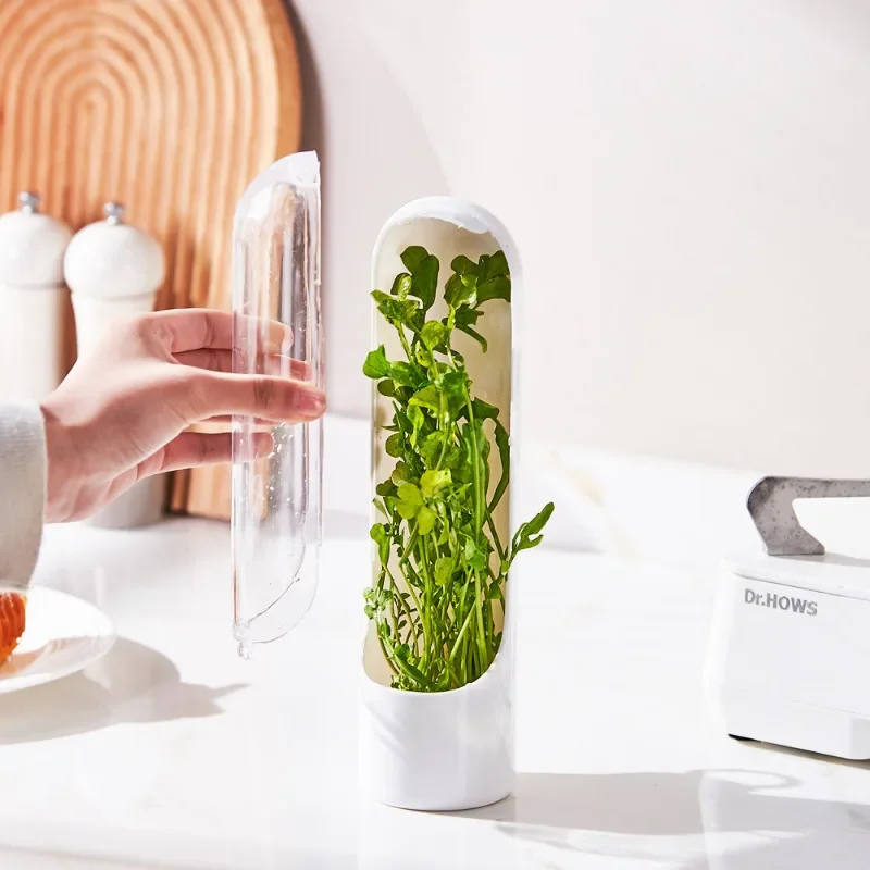 Recipiente conservador para vegetales