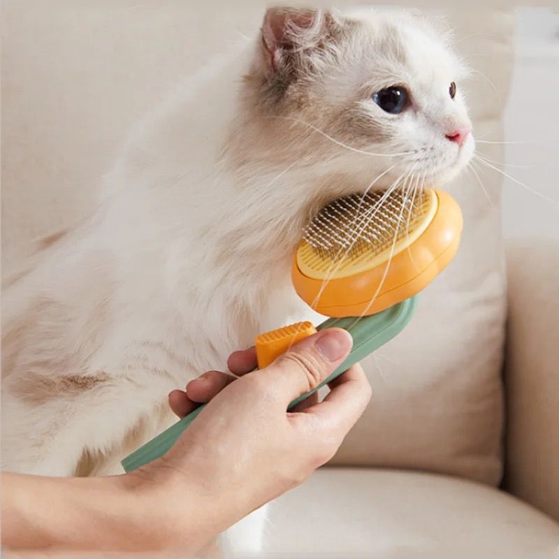 Cepillo para mascota Pumpkin