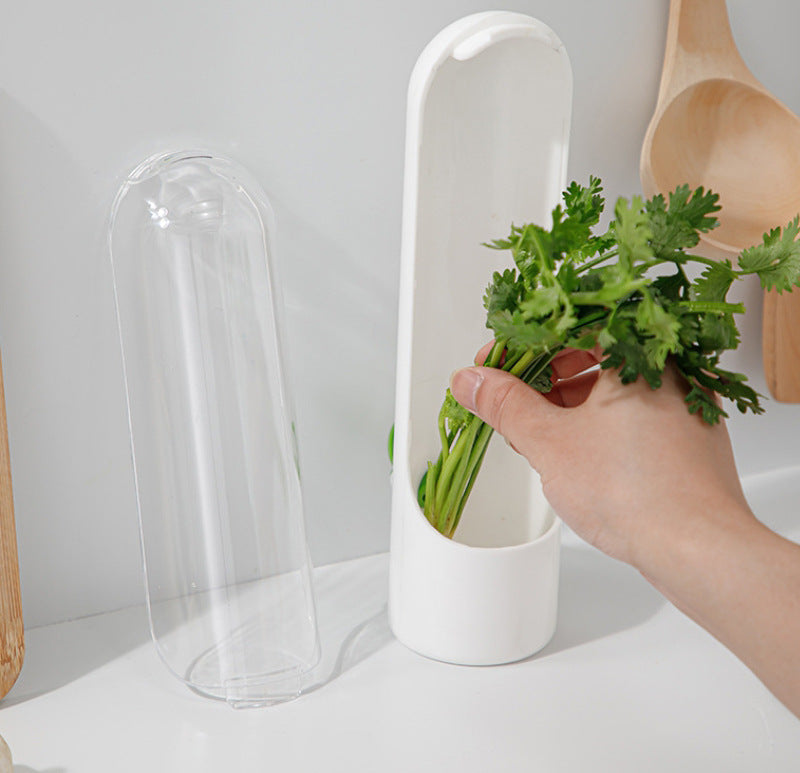 Recipiente conservador para vegetales